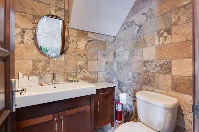 Lofts De La Petite Italie Apartment Montreal